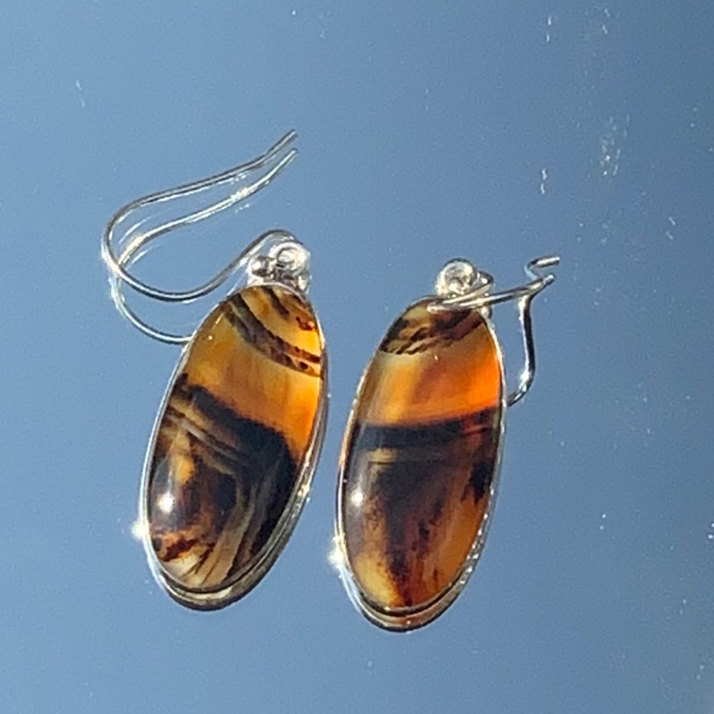 MONTANA AGATE FROM YELLOWSTONE RIVER 925 STERLING SILVER EARRINGS